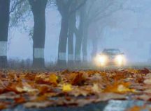 Courtesy photo
Motorists must be extremely careful in fall and watch out for wet leaves and fog.