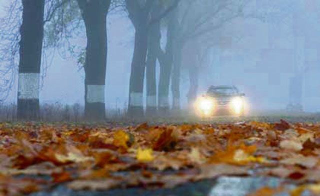 Courtesy photo Motorists must be extremely careful in fall and watch out for wet leaves and fog. 