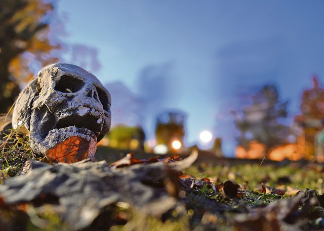 Photo by Senior Airman Jimmie D. Pike A prop skull rests on the ground during the Trunk or Treat event Oct. 31 on Ramstein. After visiting decorated trunks and collecting candy, families had the opportunity to venture through a haunted trail before continuing their night of trick or treating.