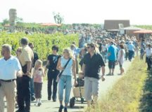 Courtesy photos 
Participants of the culinary wine hike enjoy walking through the vineyards. This year’s hike is scheduled today through Sunday.