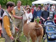 During Zoo Day which is Sunday at the Siegelbach Zoo, children can learn a lot about animals from animal caretakers. — Courtesy photos