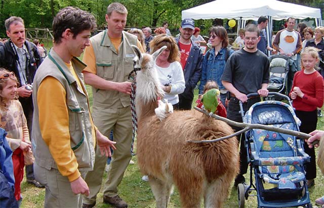 Siegelbach Zoo Hosts Zoo Day Sunday Kaiserslautern American