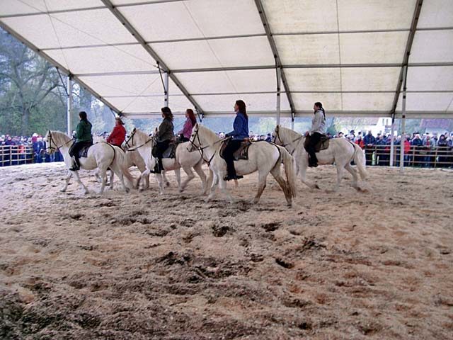 Horse market takes place Wednesday in Quirnbach