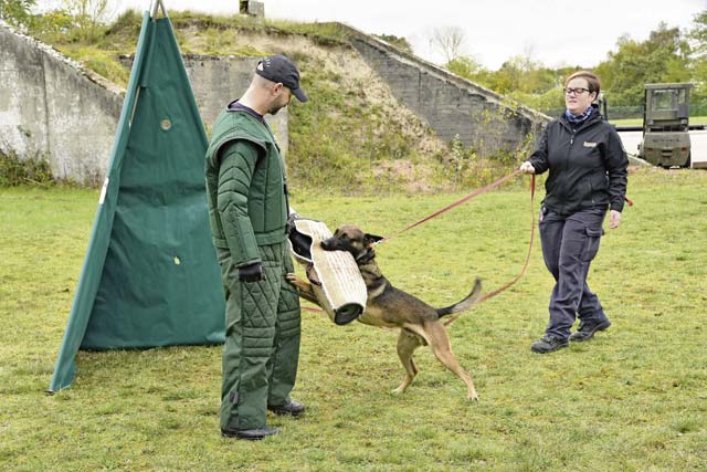 USAG RP lends support to Polizei working dog certification