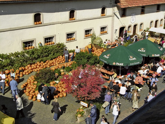 Farm fest highlights fresh products, pumpkins, crafts