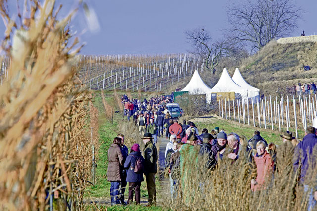 Freinsheim sponsors red wine hike Jan. 25 to 27