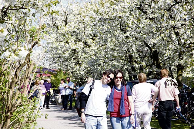 Freinsheim holds blossom fest, presents latest wines