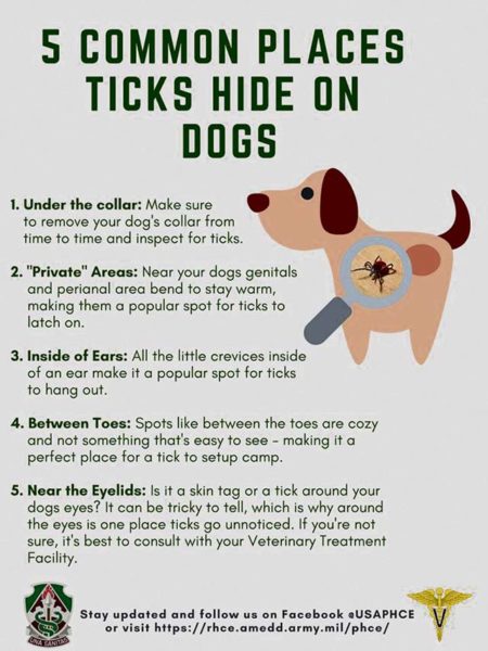 Public Health Command Europe offers guidance on how to stay tick-free this year