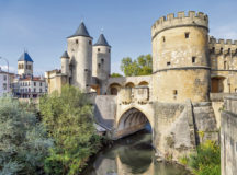 Photo by Sergey Dzyuba / Shutterstock.com