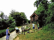 Visit lovely lake Bostalsee