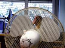 As summer temperatures heat up offices on American installations in Germany, commanders and supervisors should pay close attention to employees in Host Nation buildings without air conditioning. Photo by Keith Pannell