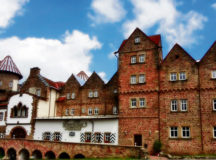 A spectacular bird show in Potzberg