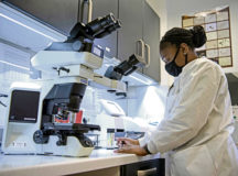 U.S. Air Force Staff Sgt. Alyssa Green, 86th Medical Support Squadron noncommissioned officer in charge of hematology, labels samples at Ramstein Air Base, Germany, Oct. 15, 2020. The 86th Medical Group is the largest medical group in the United States Air Forces in Europe. (U.S. Air Force photo by Airman 1st Class Jennifer Gonzales)