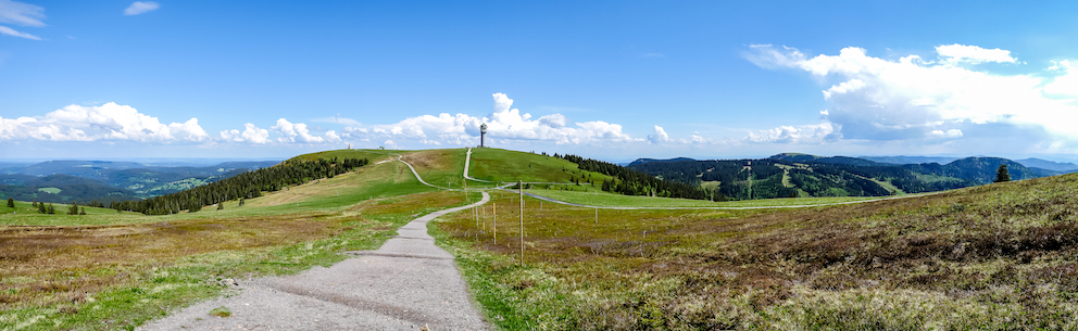Experience everything the Black Forest has to offer