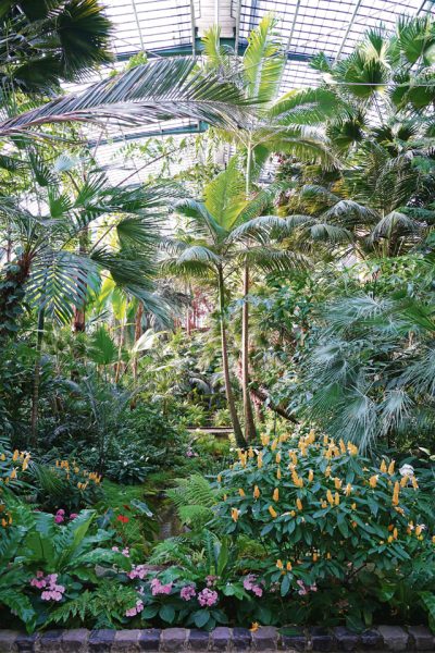 Palmengarten Frankfurt Botanical: oasis in a metropolis