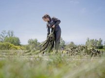 U.S. Air Force Senior Airman Abby Murphy, 86th Operations Support Squadron loadmaster, recovers a parachute during airdrop operations at Base Aérienne Grostenquin, France, Aug. 25. Airmen on the ground at the airdrop site used mobile Link 16 equipment, enabling them to share information earlier by contacting aircrews from much further away than with standard voice communication systems.
Photo by Airman 1st Class Edgar Grimaldo