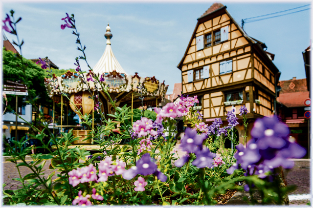 Visit the heart of Alsace, France