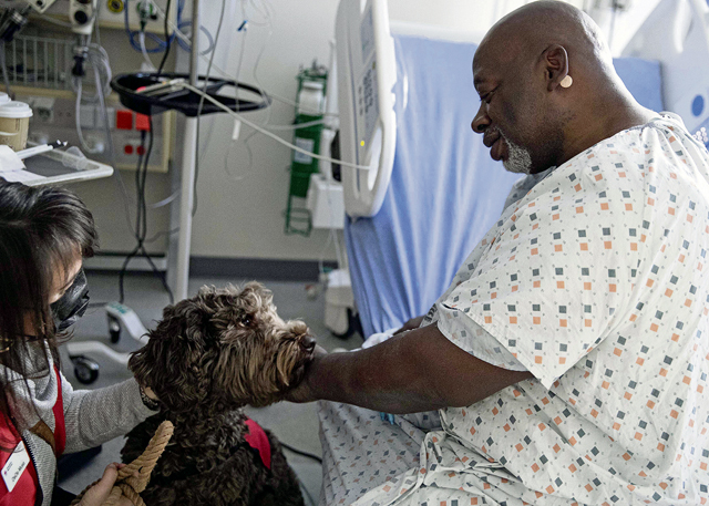 Pet morale visits relaunch at LRMC