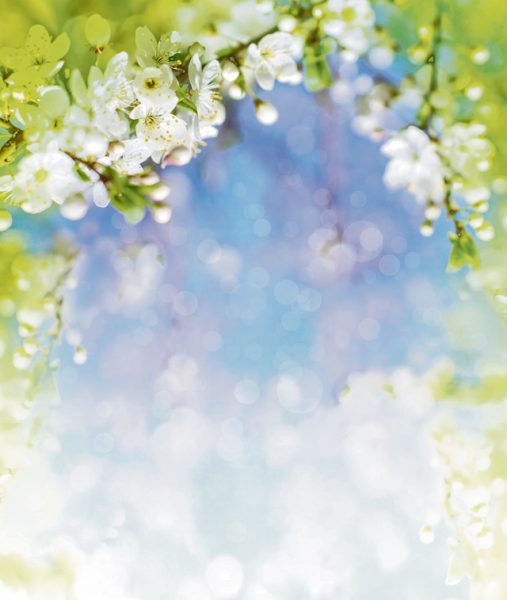 Spring Festivals - 2023