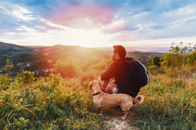 Dog-friendly hiking  in the KMC