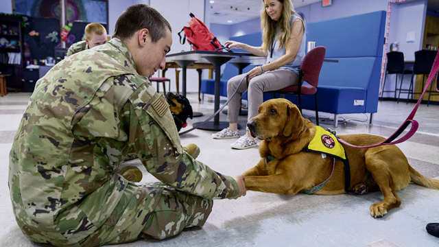 Pet therapy at Keesler: Creating a paw-sitive environment