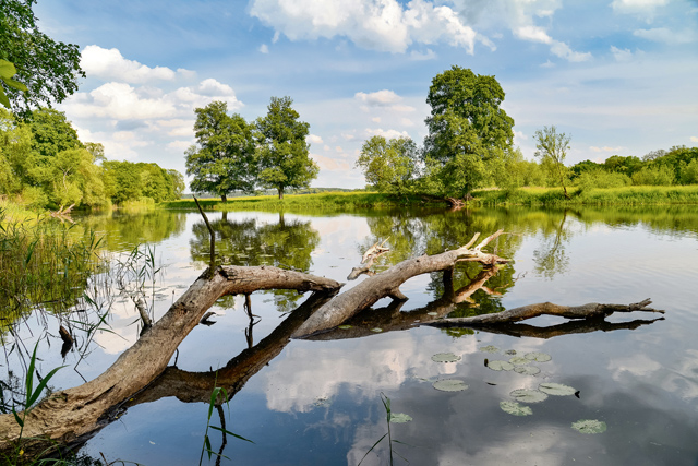 Germany’s National Parks: Lower Oder Valley National Park