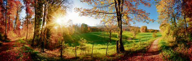 Unbe-leaf-able: Four places to see amazing autumn colors in Germany