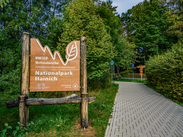 Germany’s National Parks: Hainich National Park