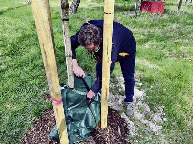 Sustaining Germersheim’s greenery: USAG RP commits to saving planet, one tree at a time
