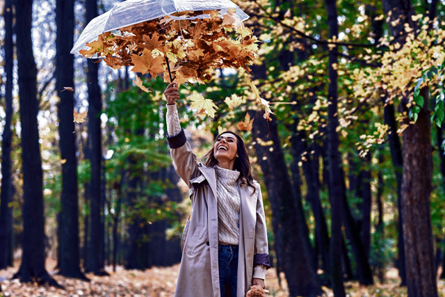 ABC in KMC: Notable November