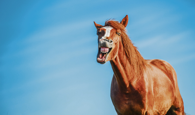 ABC in KMC: Alles in Butter!