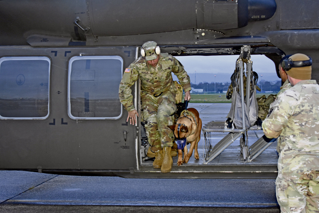 Military working dogs enhance readiness through helicopter MEDEVAC training