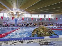 A 2026 German American Friendship Days participant pushes to finish the last 25 meters of a 100-meter swim assessment at Ramstein Air Base, Feb. 23. Participants competed in a weeklong challenge to earn the German Armed Forces Proficiency Badge. During the challenge, members are graded on marksmanship, swimming, endurance and other physical fitness events conducted in accordance with German military standards. Photo by Senior Airman Trevor Calvert