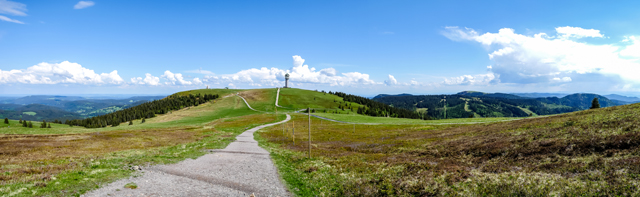 Experience everything the Black Forest has to offer