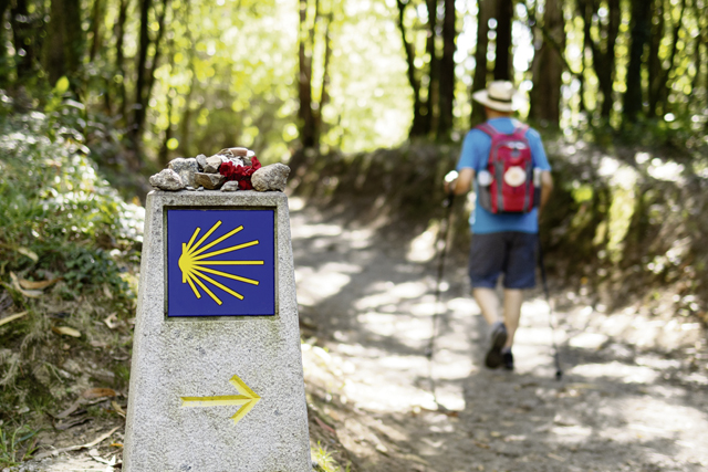 Camino de Santiago: From Germany to Spain