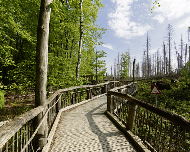 Germany’s National Parks: Eifel National Park