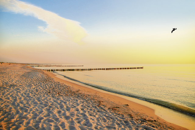 Germany’s National Parks: Western Pomerania Lagoon Area National Park