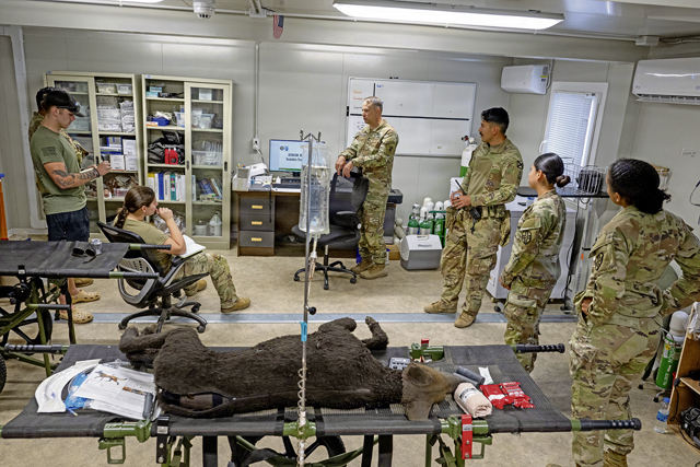 Building a combat care network for military working dogs